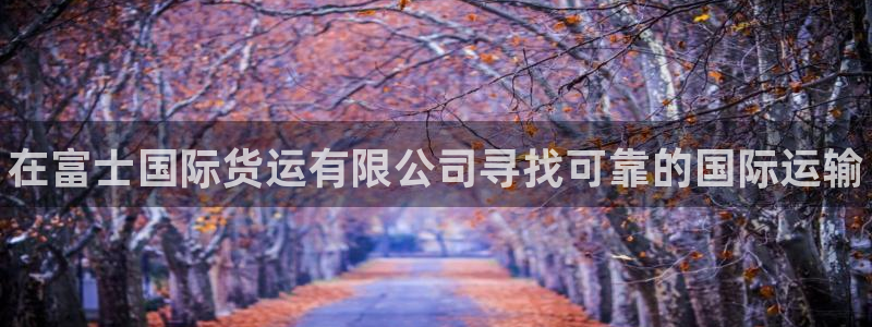 尊龙一人生就是搏：在富士国际货运有限公司寻找可靠的国际运