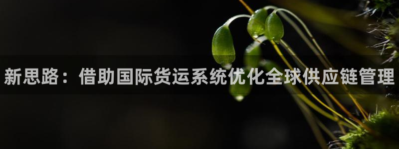 尊龙手机版：新思路：借助国际货运系统优化全球供应链管理