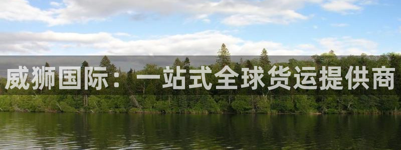 尊龙凯时ag旗舰厅官方网站：威狮国际：一站式全球货运提供