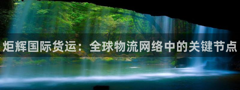 百度一下尊龙：炬辉国际货运：全球物流网络中的关键节点