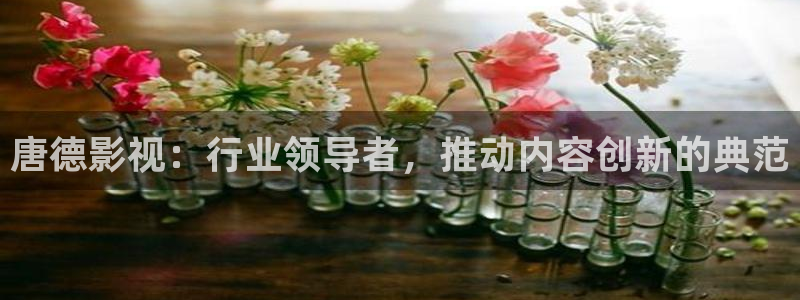 米奇影视8888：唐德影视：行业领导者，推动内容创新的典范