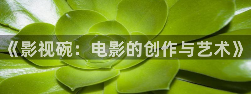 777米奇影视第四色：《影视碗：电影的创作与艺术》