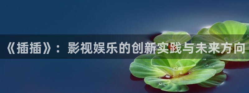 99米奇影院：《插插》：影视娱乐的创新实践与未来方向